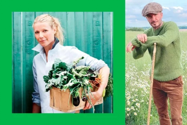 Звезды, которые находят удовольствие в садоводстве: от Пэлтроу до Бекхэма