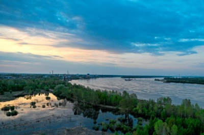 Масштабные проблемы с озеленением выявлены в Воронеже