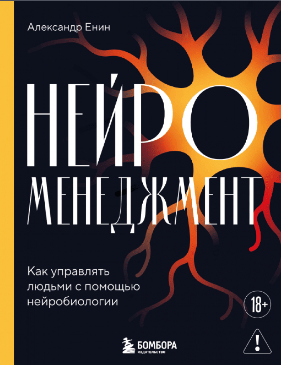 Александр Енин &laquo;Нейроменеджмент&raquo;: карта местности, которой у нас никогда не было